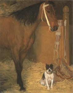 A l'ecurie, cheval et chien